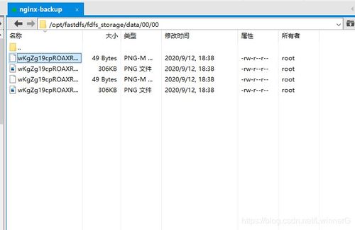 Linux CentOS 7 下搭建外網(wǎng)可訪問(wèn)的 FastDFS 結(jié)合 Nginx 圖片/文件服務(wù)器